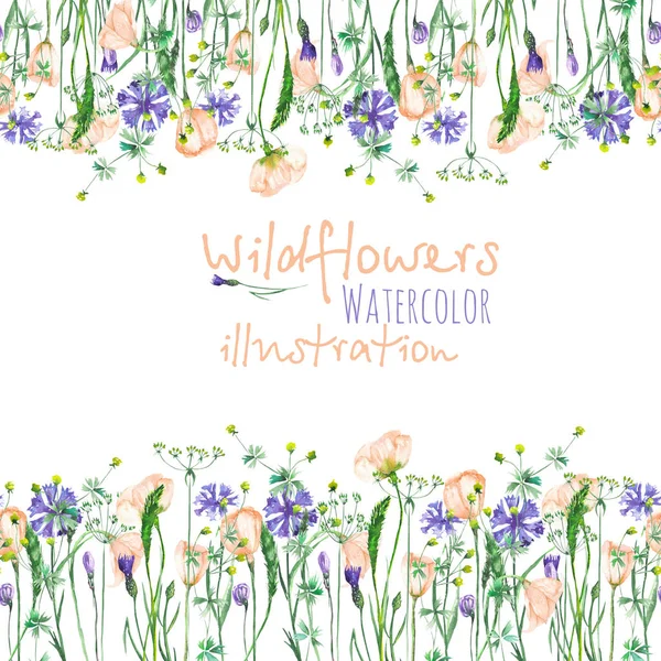 Rahmenrand mit Wildblumen, Eustoma und Kornblumen — Stockfoto