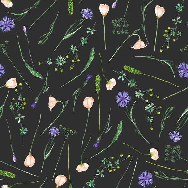 Naadloze patroon met wilde bloemen, eustoma en korenbloemen — Stockfoto