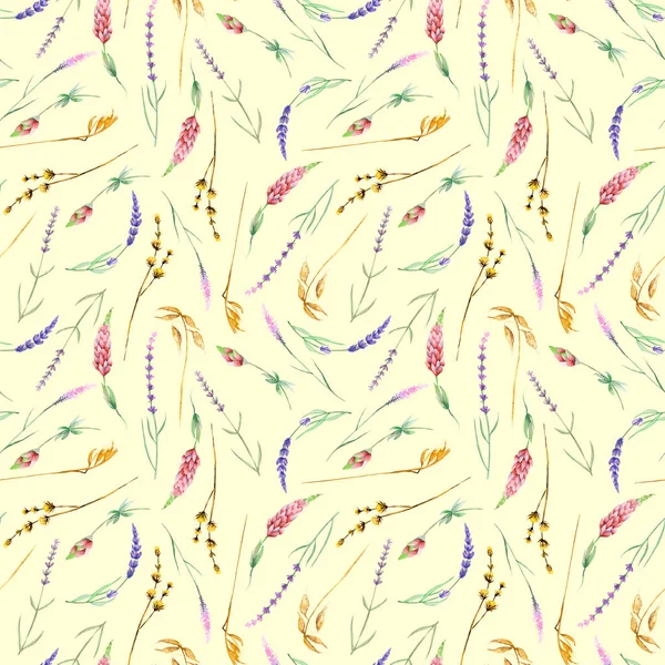 Бесшовный рисунок с желтыми сухими полевыми цветами — стоковое фото