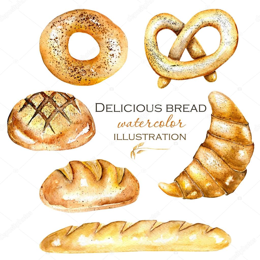 Set, illustration collection with watercolor bakery products (bagel, loaf, French baguette)