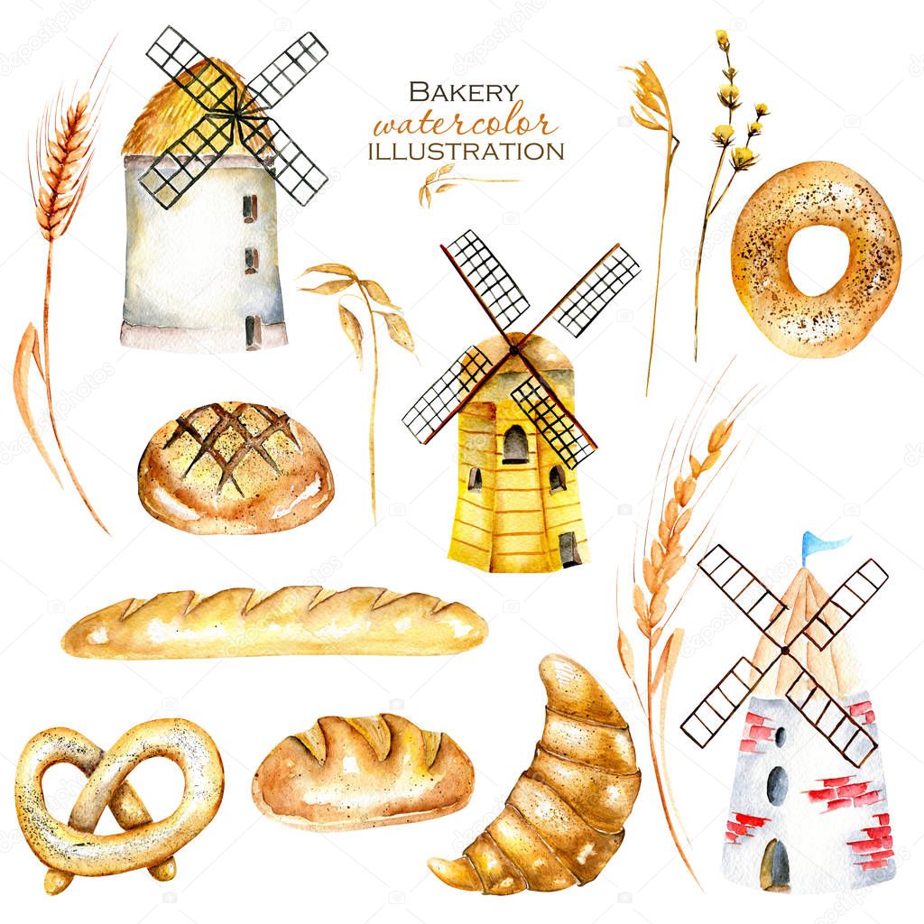 Set, illustration collection with watercolor bakery products (bagel, loaf, French baguette), wheat spikelets and windmills