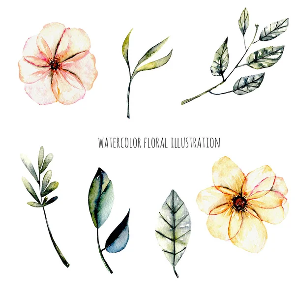 Set of watercolor pink flowers and leaves illustration — Stock Photo, Image