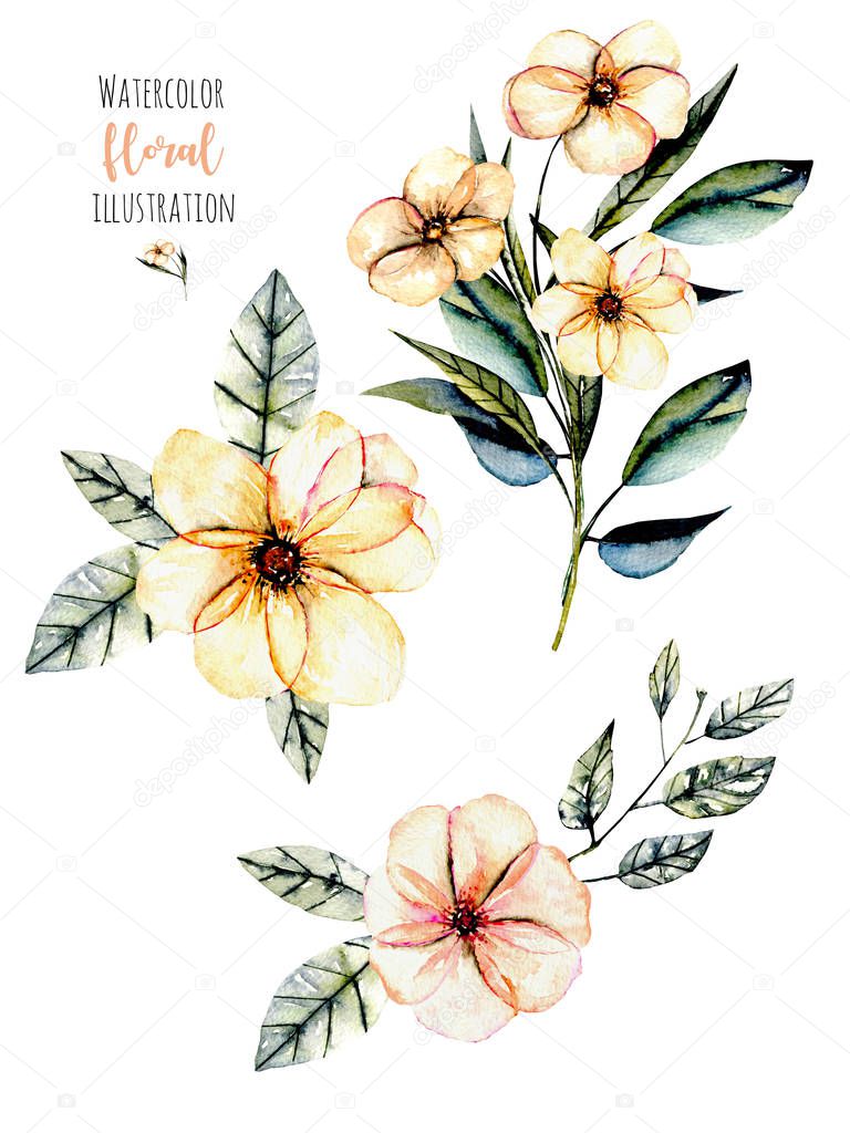 Set of watercolor pink flowers and leaves bouquets illustration