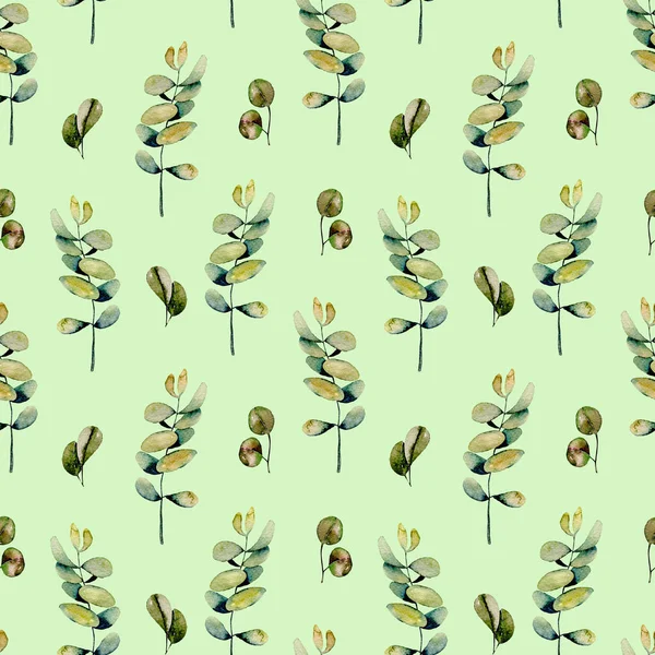 Цветочный узор с акварельными эвкалиптовыми ветвями — стоковое фото