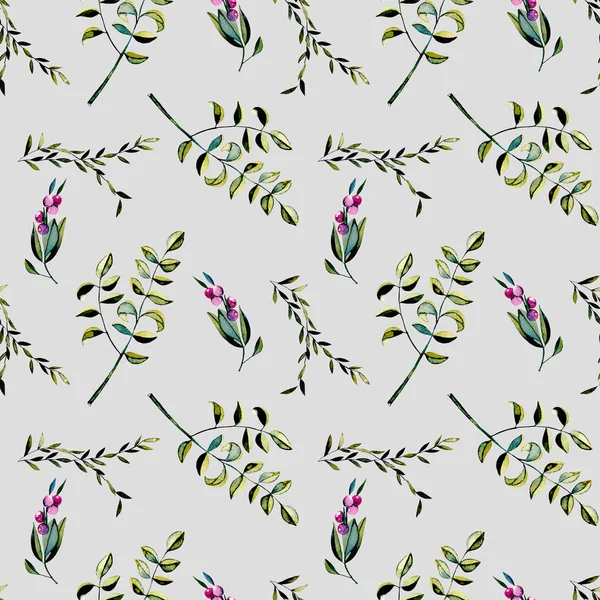 보라색 열매와 아카시아 나무 가지 완벽 한 꽃 패턴 — 스톡 사진