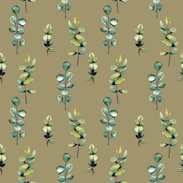 수채화 유칼립투스와 원활한 꽃 패턴 — 스톡 사진