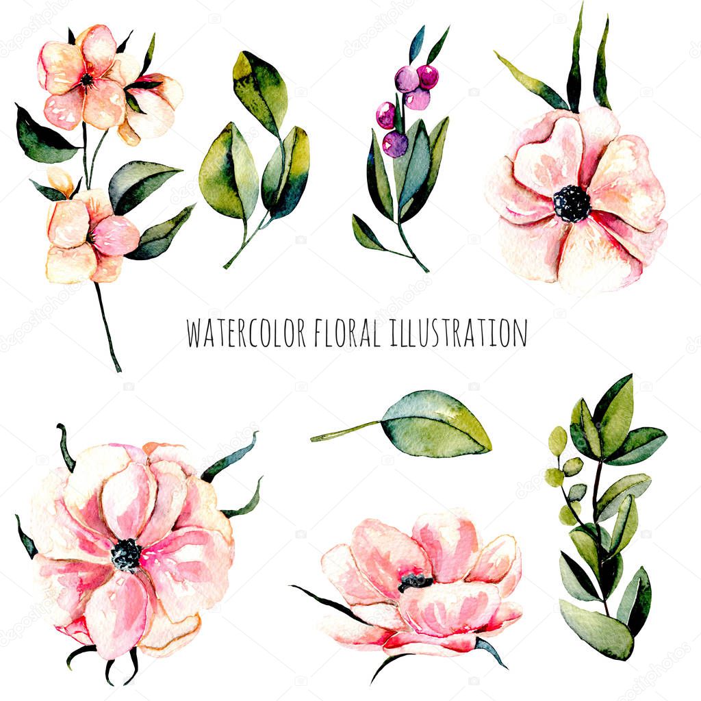 Set of watercolor pink anemone flowers, berries branch and green plants illustration, hand drawn isolated on a white background