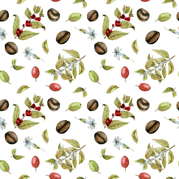 Seamless pattern with watercolor flowering branches of coffee, red and green coffee beans — Stock Photo, Image