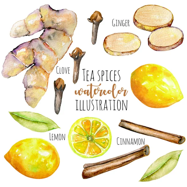 Suluboya zencefil, limon ve baharat öğeleri kümesi — Stok fotoğraf