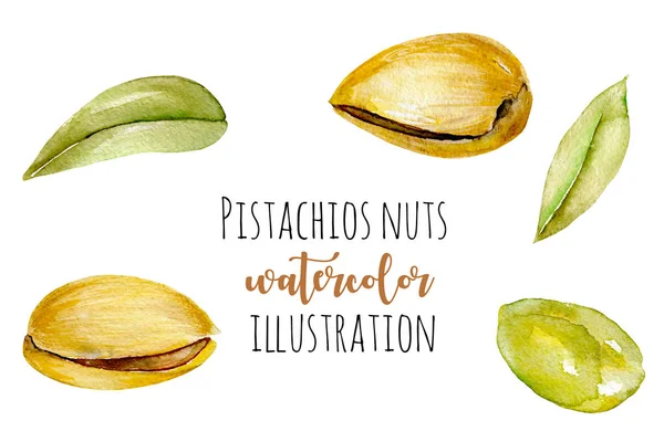 Set elemen pistachio cat air — Stok Foto