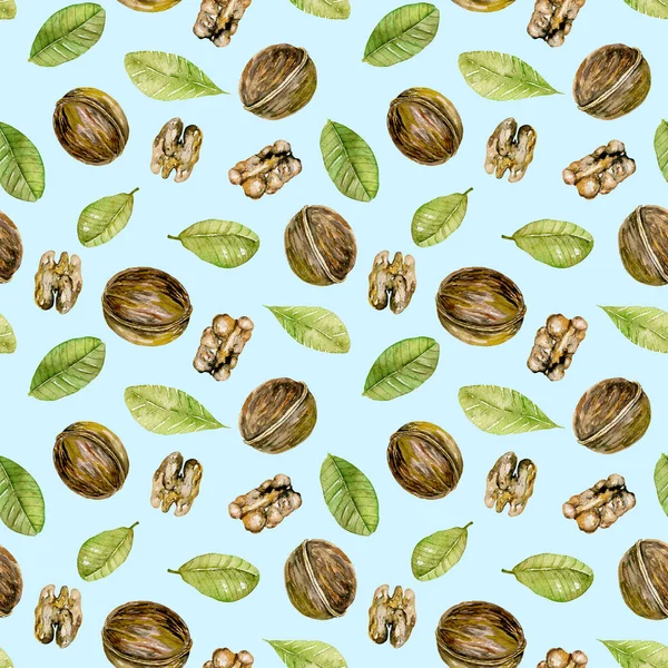 Vzor bezešvé s prvky akvarel vlašské ořechy — Stock fotografie