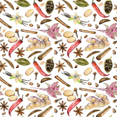 Suluboya baharat (tarçın, anason, rezene, kakule, kırmızı biber, zencefil, vanilya ve karanfil ile Seamless Modeli)