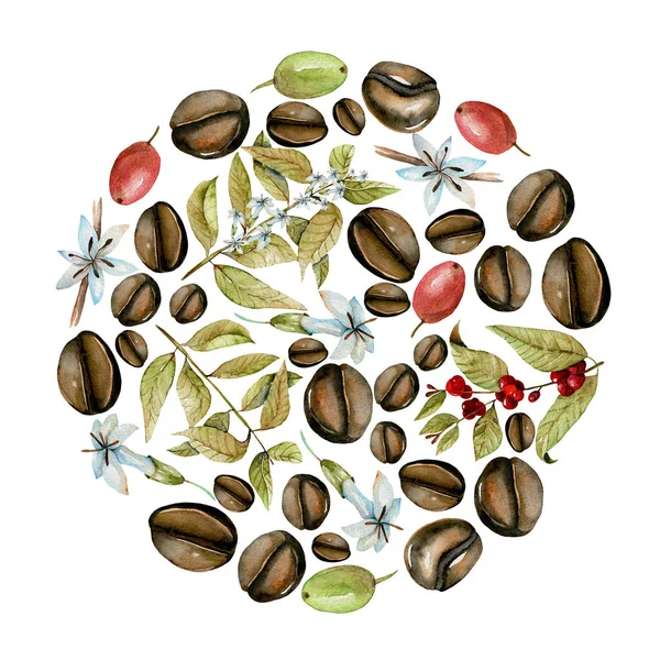 Round illustration from watercolor coffee branches, flowers and beans at different stages of maturation — Foto Stock