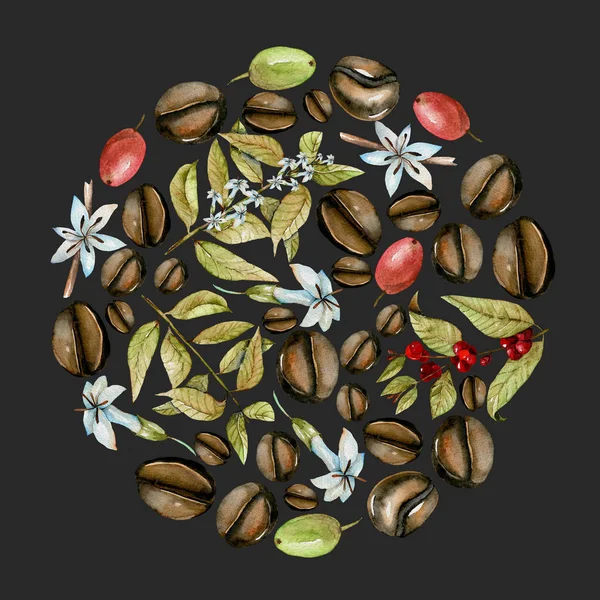 Κύκλο εικόνα από την ακουαρέλα καφέ κλαδιά, λουλούδια και τα φασόλια σε διαφορετικά στάδια ωρίμανσης — Δωρεάν Φωτογραφία