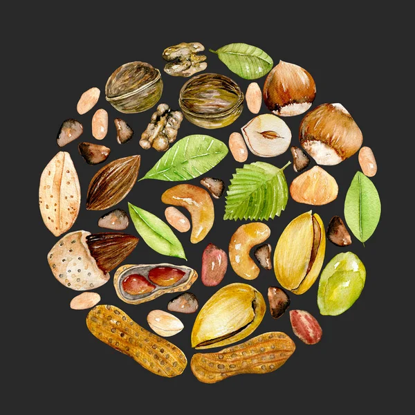 Afbeelding van de cirkel van aquarel noten — Stockfoto