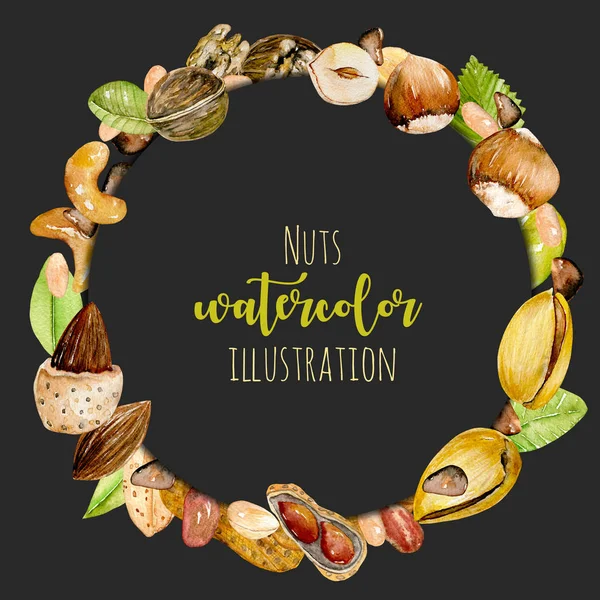 Věnec, kruh rám z akvarelu ořechů — Stock fotografie