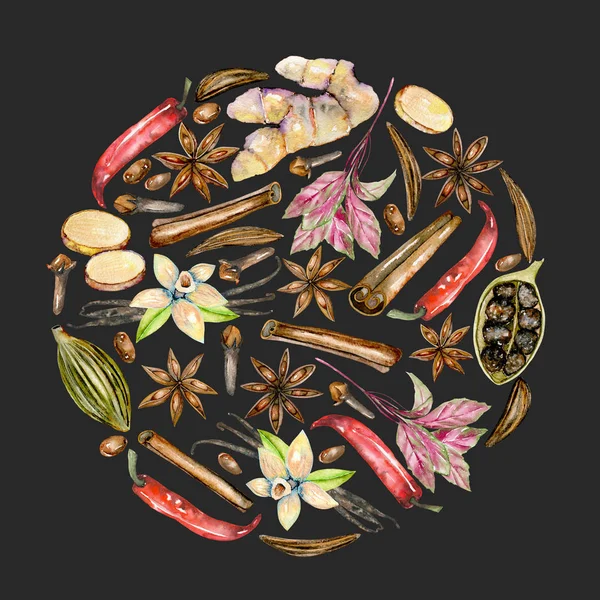 Circle illustration of watercolor spices (cinnamon, anise, caraway, cardamom, basil, red pepper, ginger, vanilla and cloves) — Stock Photo, Image