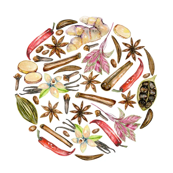 Ilustración circular de especias de acuarela (canela, anís, alcaravea, cardamomo, albahaca, pimiento rojo, jengibre, vainilla y clavo de olor ) — Foto de Stock