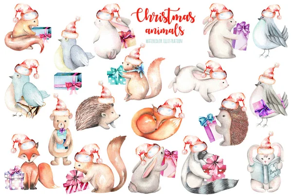 Coleção, conjunto de aquarela bonito Natal animais da floresta ilustrações — Fotografia de Stock