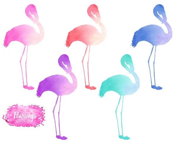 Conjunto, coleção de aquarela flamingo silhuetas ilustração — Fotografia de Stock