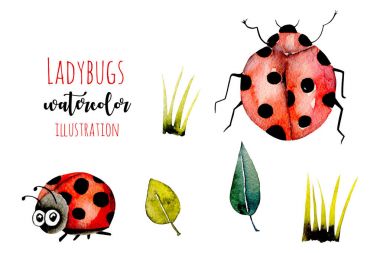 Suluboya sevimli çizgi ladybugs ve basit bitkiler resimler