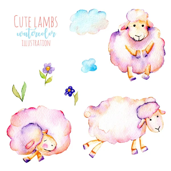 Set of watercolor cute pink sheeps, simple flowers and clouds illustrations — Stock Photo, Image