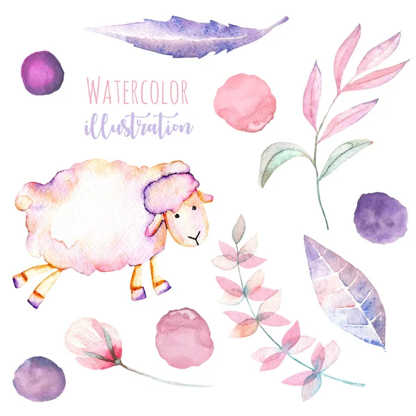 Conjunto de aquarela bonito ovelha rosa, flores simples e manchas ilustrações — Fotografia de Stock