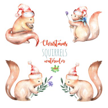 Suluboya sevimli Noel sincap illüstrasyonlar kümesi