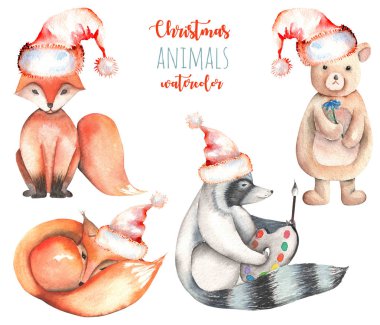 Suluboya sevimli Noel tilki ve rakun çizimler