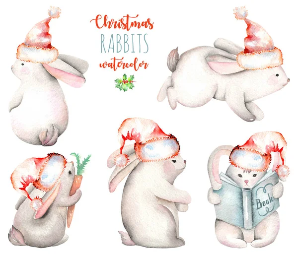 Suluboya sevimli Noel tavşan illüstrasyonlar kümesi — Stok fotoğraf