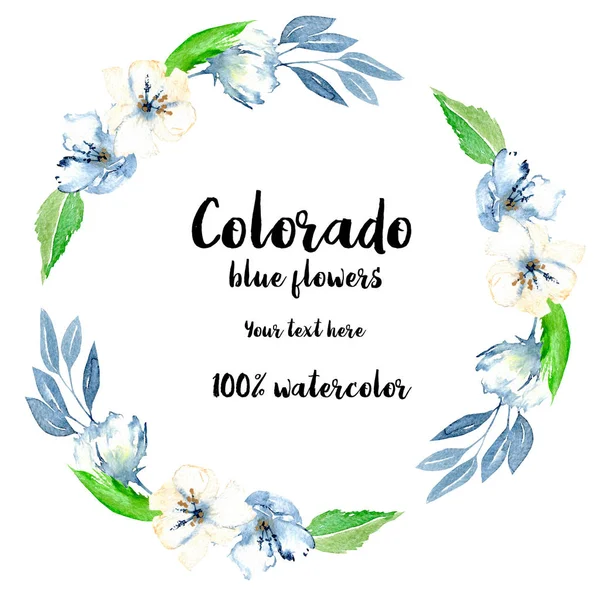Kranz, Kreisrahmen mit einfachen blauen und weißen Blüten, Blättern und Zweigen — Stockfoto