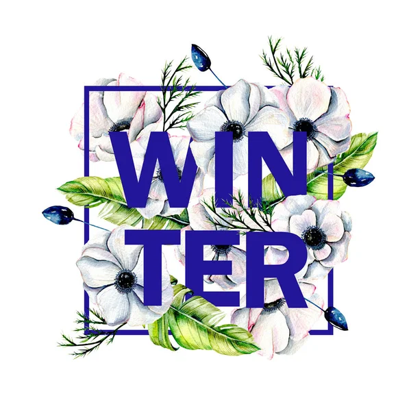 水彩冬花のイラスト、冬のバナー デザイン — ストック写真