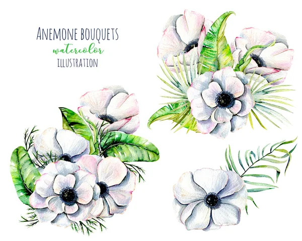 Bouquets de fleurs d'anémone blanche aquarelle — Photo