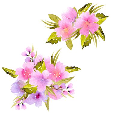 Sulu boya pembe, mor çiçekler ve yeşil dallar buketleri