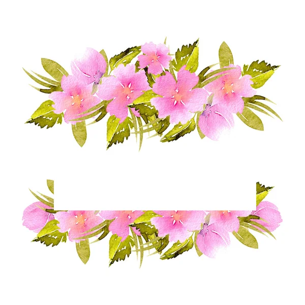 Каркасна рамка з рожевими дрібними польовими квітами і зеленими рослинами — стокове фото
