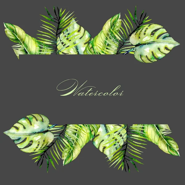 Acuarela palma tropical hojas marco borde, pintado a mano sobre un fondo oscuro —  Fotos de Stock