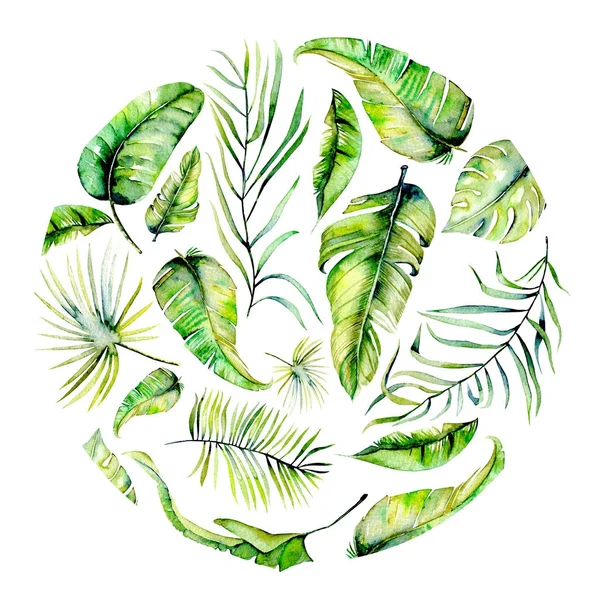 Acuarela hojas de palma tropical círculo ilustración — Foto de Stock