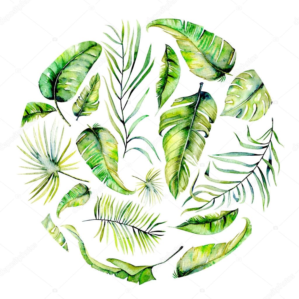 Watercolor tropical palm leaves circle illustration