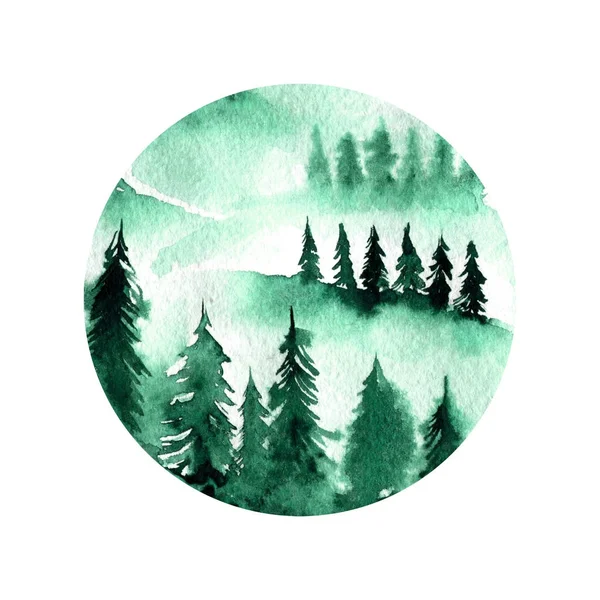 Зеленый туманный еловый лесной пейзаж — стоковое фото