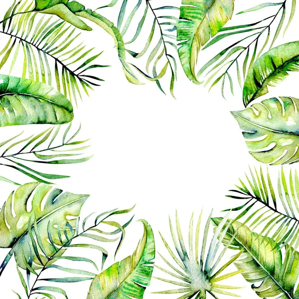Akvarelu Tropical Palm Opustí Hranice Rámečku Ručně Malované Bílém Pozadí — Stock fotografie