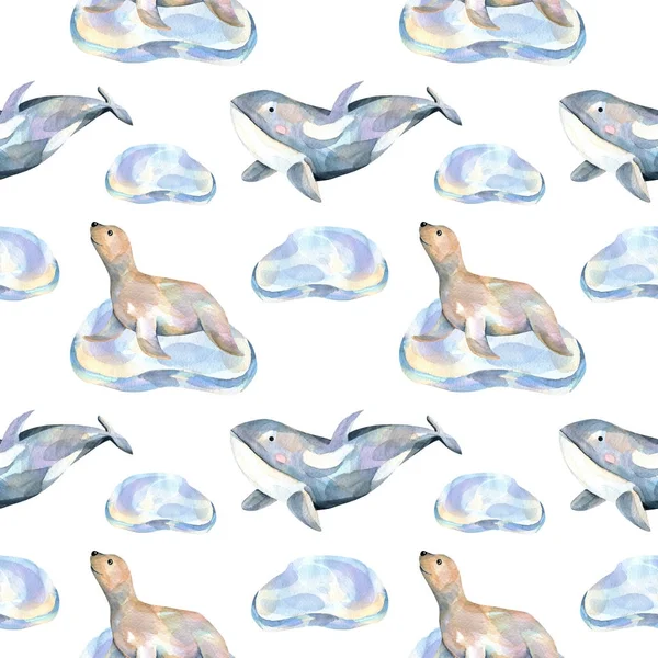 Морские Котики Льдинах Китах Раскрашенные Вручную Белом Фоне — стоковое фото