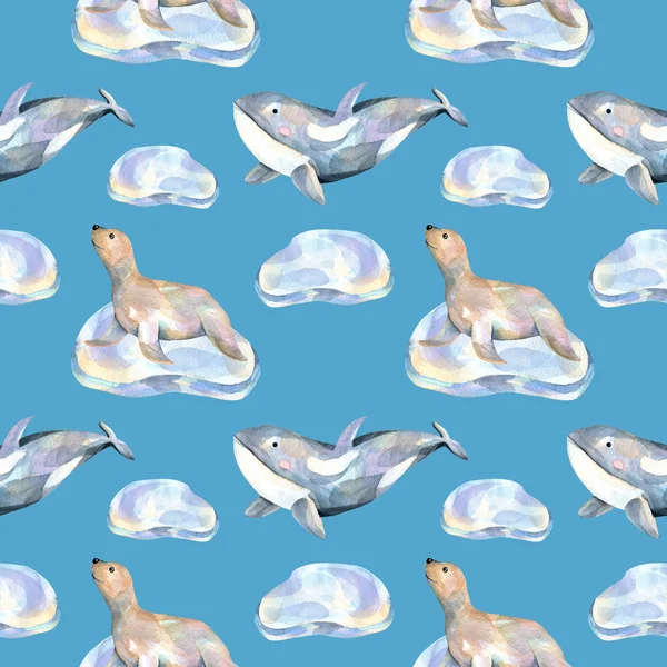 Watercolor Fur Seals Ice Floes Whales Seamless Pattern Hand Painted — Stock Photo, Image