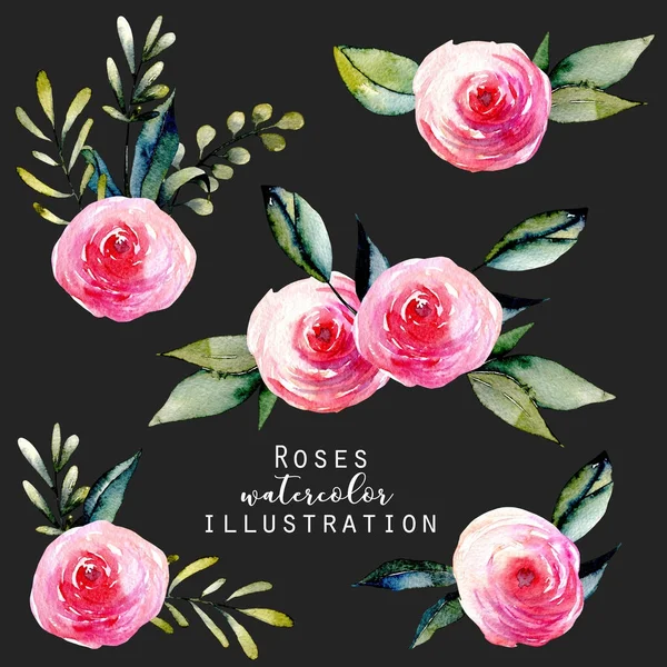 Suluboya kırmızı gül ve yeşil yaprakları buketleri kümesi, karanlık bir arka plan üzerinde elle çizilmiş izole