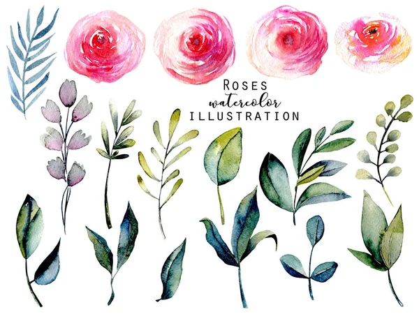 Watercolor Red Roses Green Leaves Branches Set Hand Drawn Isolated — Stock Photo, Image