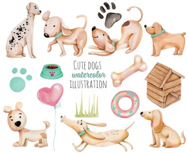 Sulu Boya şirin komik köpek ve öğeleri koleksiyonu, beyaz bir arka plan üzerinde elle çizilmiş izole