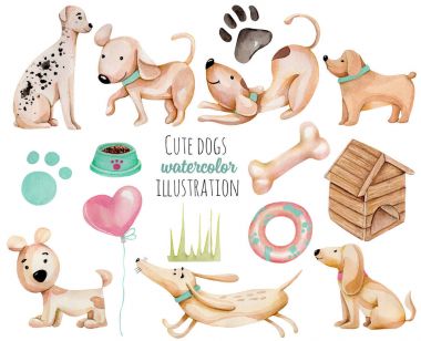 Watercolor cute funny dogs and elements collection, hand drawn isolated on a white background clipart