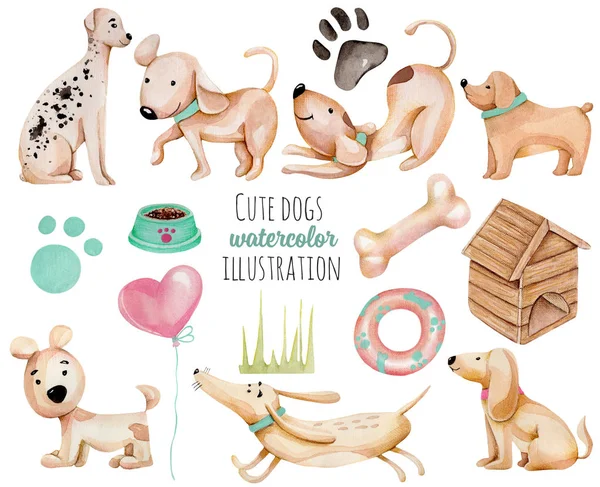 Sulu Boya şirin komik köpek ve öğeleri koleksiyonu, beyaz bir arka plan üzerinde elle çizilmiş izole