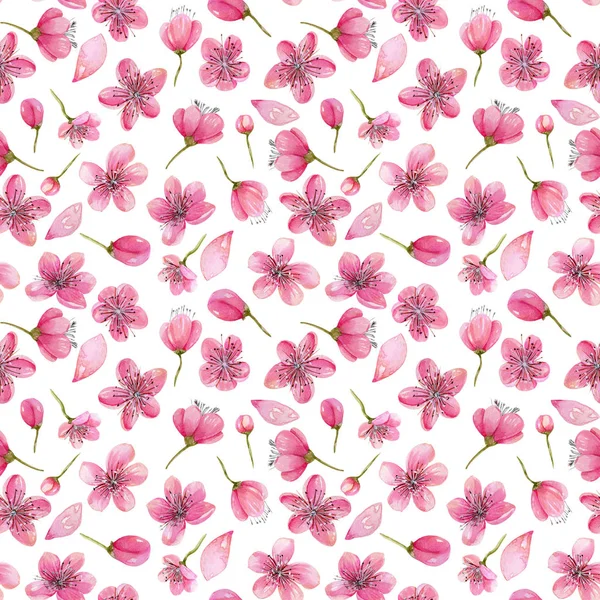 Akvarell Tavaszi Cseresznyefa Virágok Varrat Nélküli Mintát Kézzel Festett Fehér — Stock Fotó