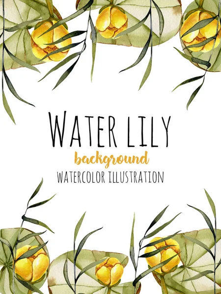 Watercolor Reeds Yellow Water Lily Background Greeting Card Template Artistic — Stock Photo, Image