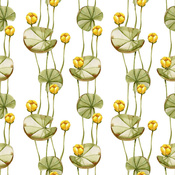 Watercolor yellow water lily seamless pattern, hand painted on a white background